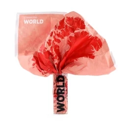 Carte Du Monde A Personnaliser Crumpled World By Countries Papier Multicolore / Noms De Pays - Feutre Effacable Inclus - 87 X 58 Cm - Palomar