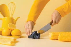 Aiguiseur A Couteaux Blade Plastique/ Rhinoceros - Pa Design