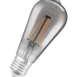 Ampoule Led E27 Connectee Smart+ Verre Gris / Filaments Edison - 6W = 60W / Bluetooth - Variable - Ledvance