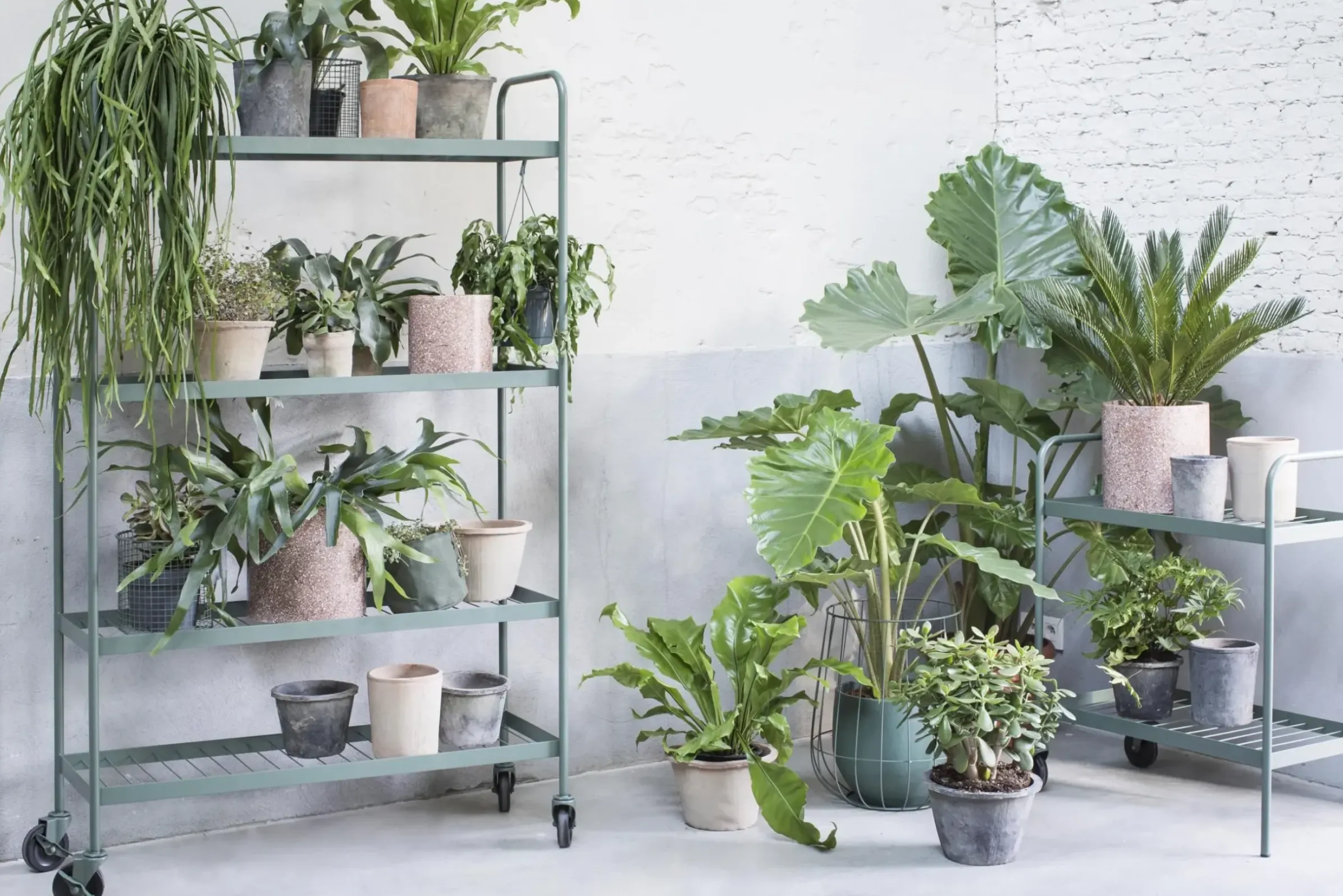 Desserte Babylon Metal Vert / Pour Plantes - Serax