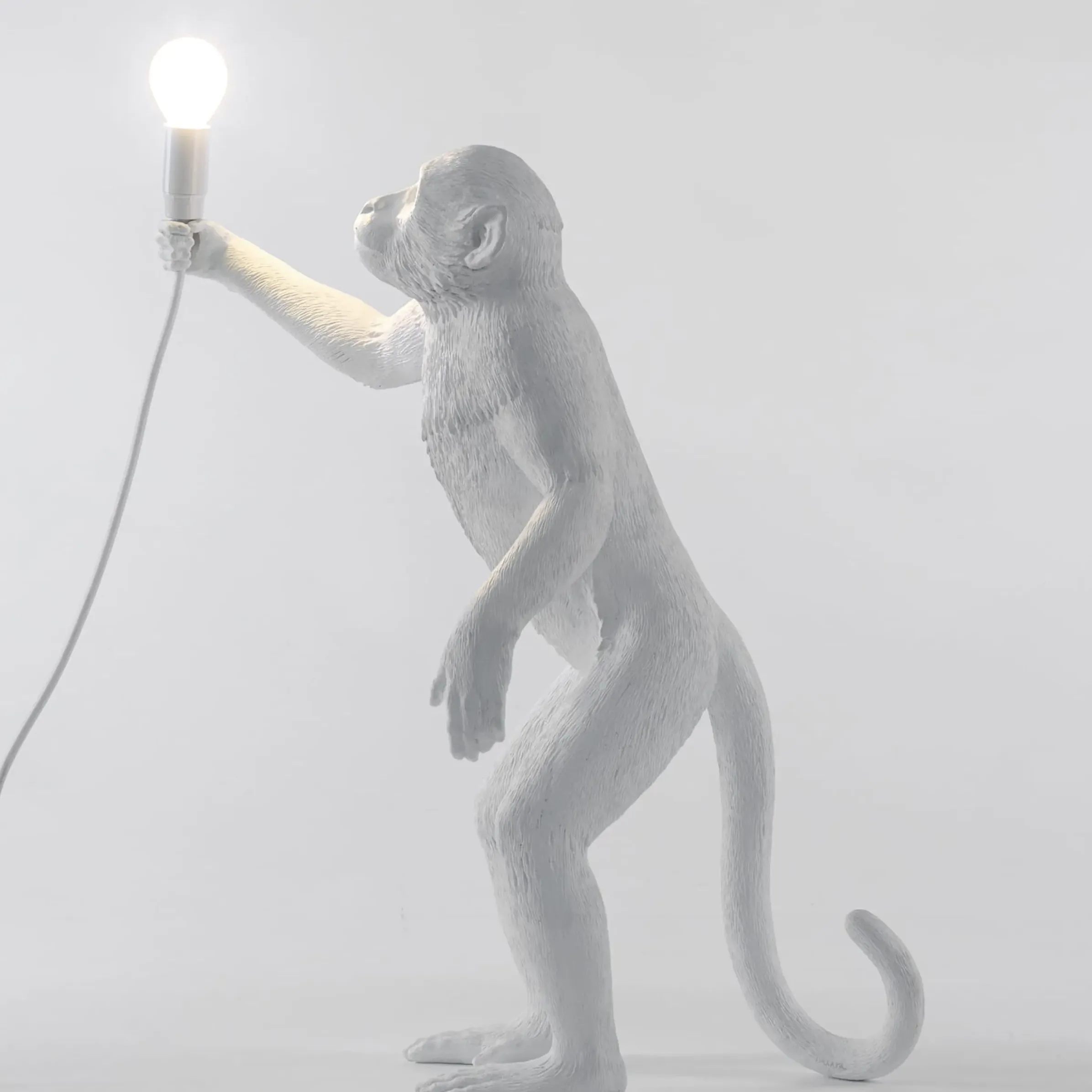 Lampe D'extérieur Monkey Standing Plastique/ Outdoor - H 54 Cm - Seletti