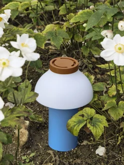 Lampe Exterieur Sans Fil Rechargeable Pc Portable Plastique Bleu Plastique Multicolore/ Pour L'Exterieur -Usb - Hay
