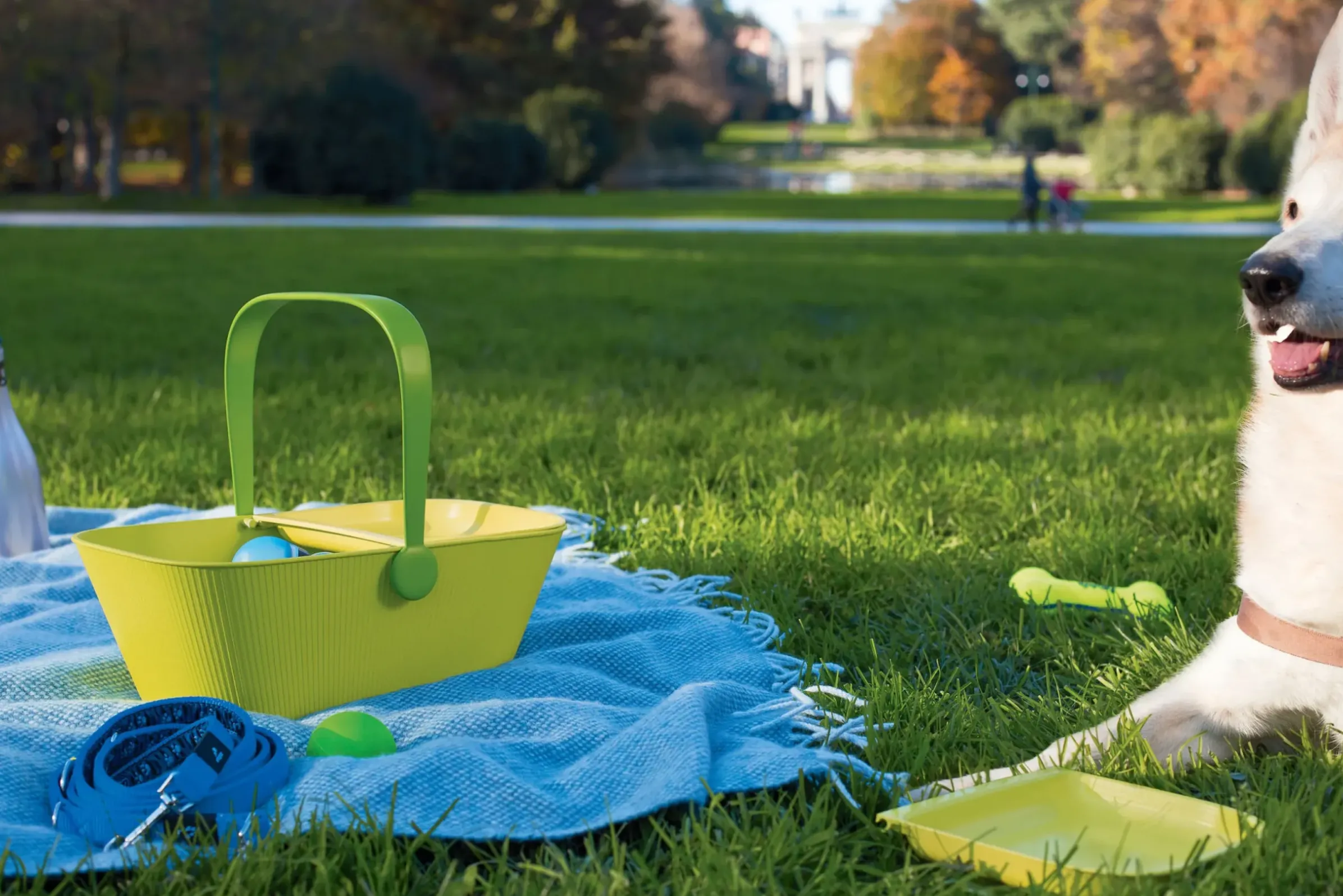 Panier Petnic Plastique- Alessi
