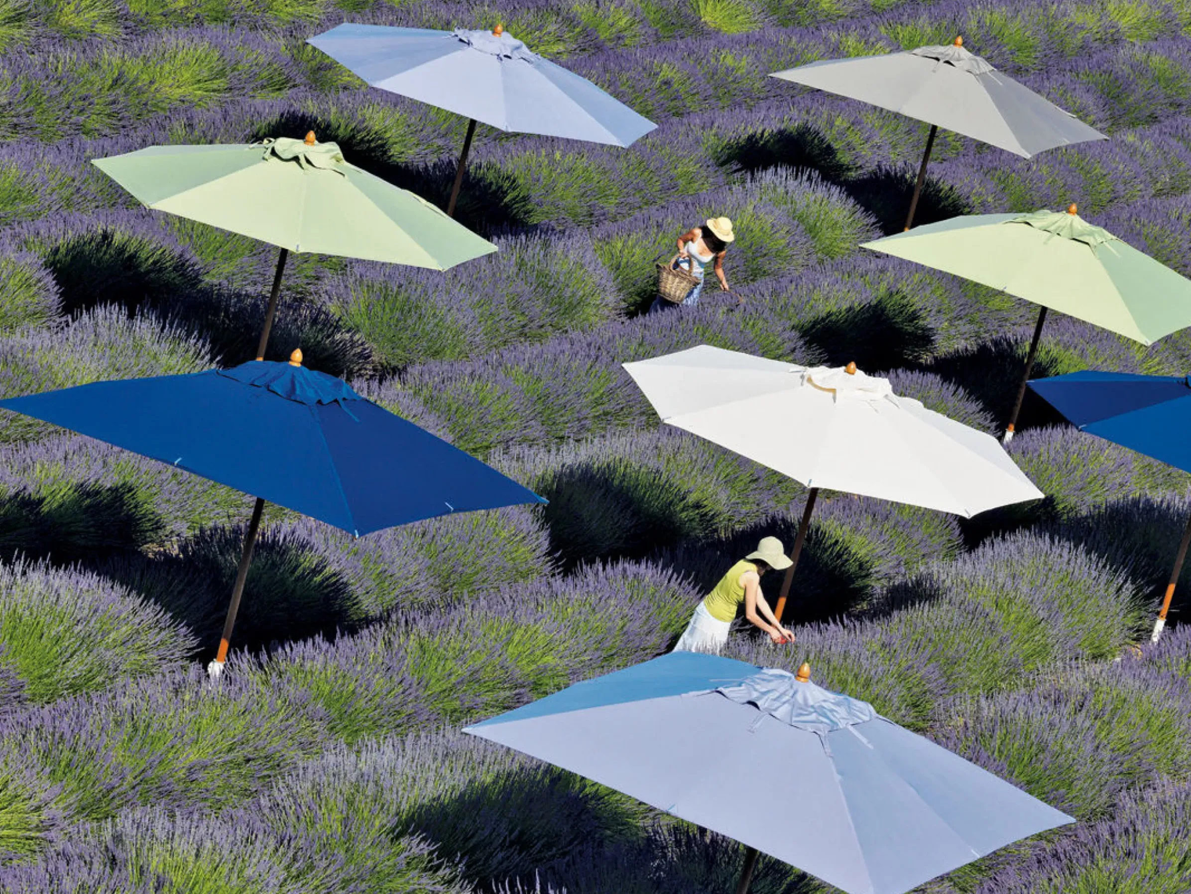 Parasol Classic Tissu Bois Blanc / 300 X 300 Cm - Bois - Ethimo