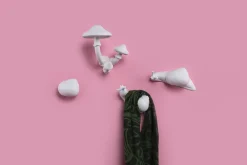 Portemanteau Mural Mushroom Plastique/ 3 Champignons-Patères - H 16 Cm - Seletti