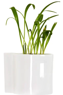 Pot De Fleurs Mural Hover Ceramique/ Porcelaine - O 12 Cm - Thelermont Hupton