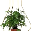 Support Pour Pot De Fleurs Daniel N°3Metal / Outdoor - O 40 X H 52 Cm - Compagnie